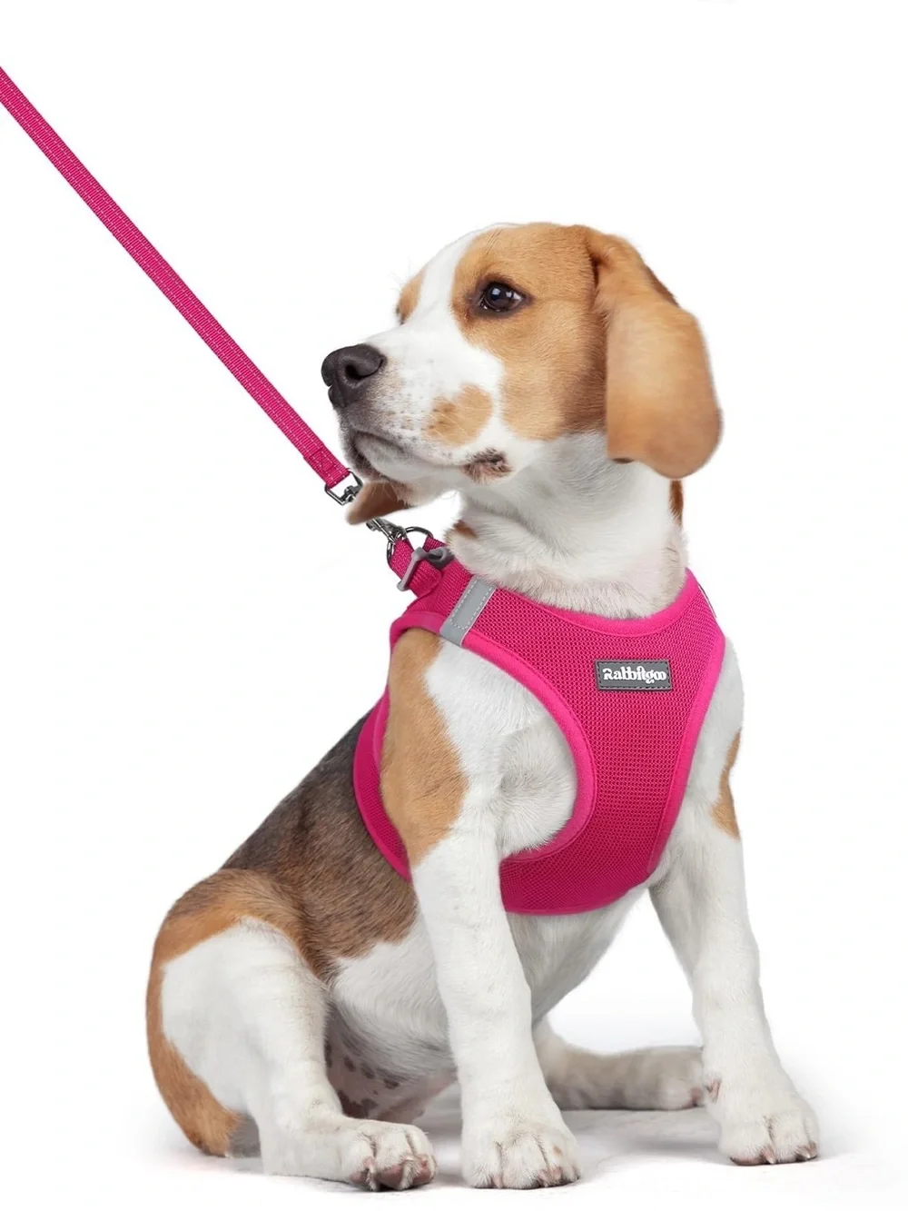 Soft Mesh Dog Harness & Leash Set - Pink